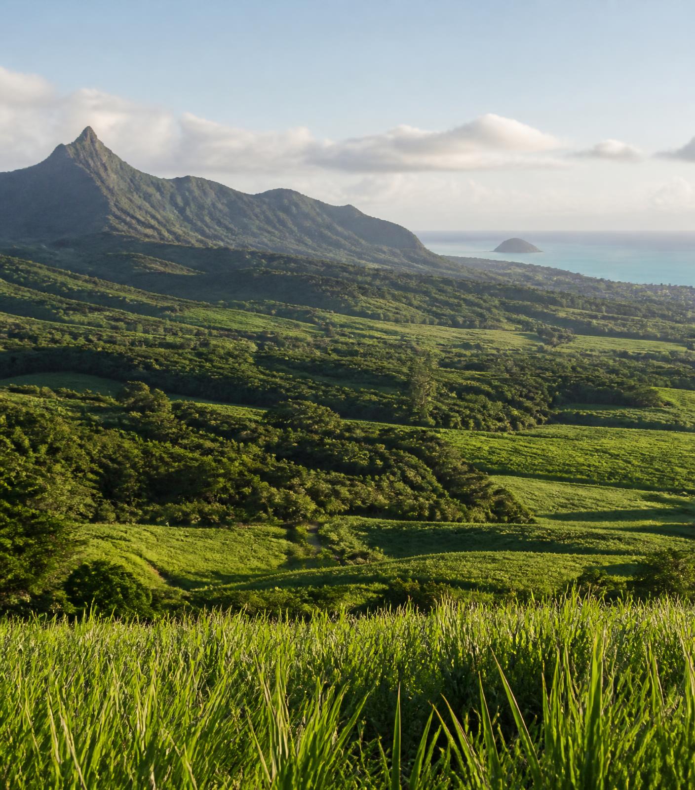 Green mountains and fields of Mauritius with the turquoise ocean in the distance